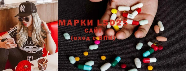 винт Алексин
