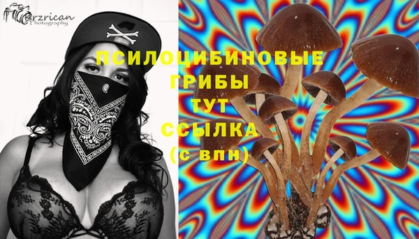винт Алексин